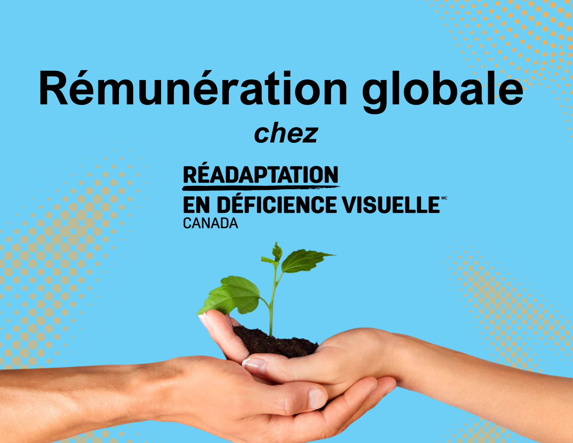 Deux mains tenant de la terre avec un semis, les mots « Rémunération globale chez Réadaptation en déficience visuelle Canada » sont représentés dans le graphique.