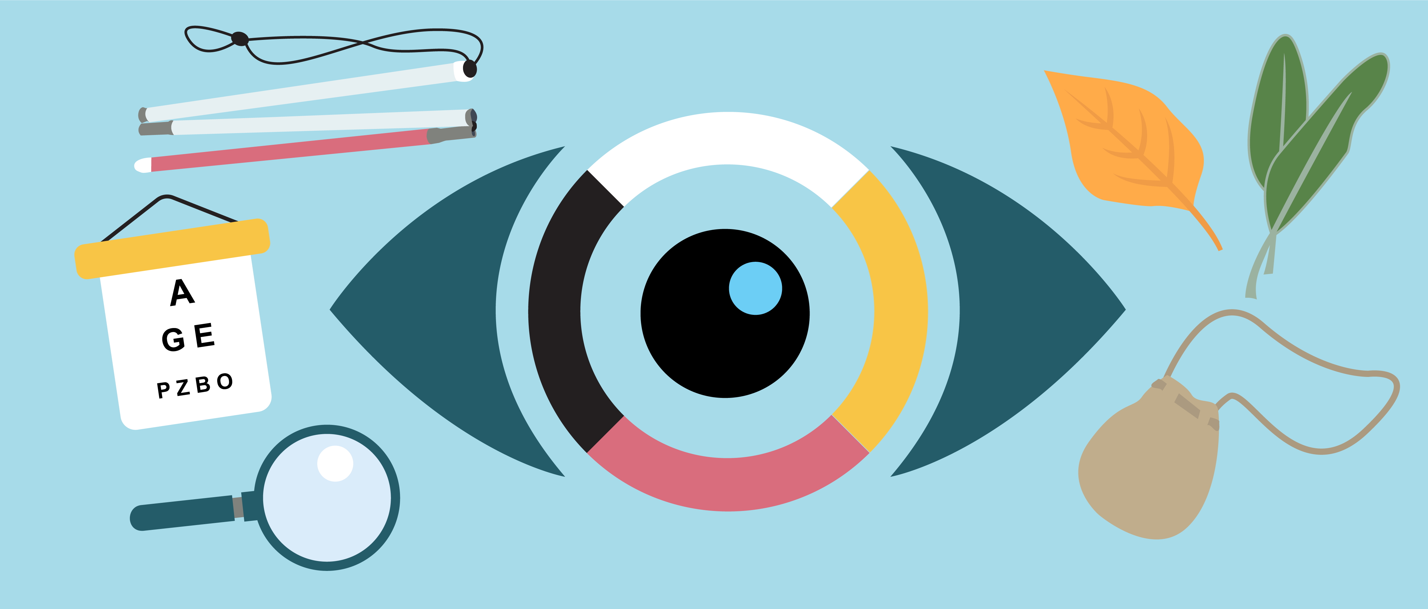 An illustration shows an eye with a 4-colour iris (black, white, red, yellow) on a light blue background. Surrounding it are items: a white cane with a red tip and a black strap, an eye chart, a magnifying glass, two green sage leaves, a single orange leaf, and a small brown pouch with a strap.