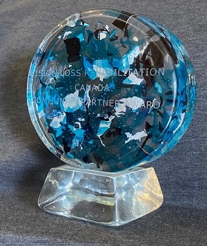 VLRC Partner Award, a blue VLRC globe