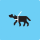 walking dog on leash icon