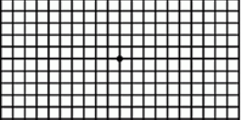 Amsler grid