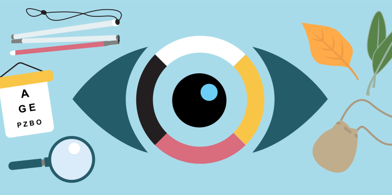 An illustration shows an eye with a 4-colour iris (black, white, red, yellow) on a light blue background. Surrounding it are items: a white cane with a red tip and a black strap, an eye chart, a magnifying glass, two green sage leaves, a single orange leaf, and a small brown pouch with a strap.
